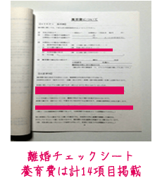 離婚チェックシートの見本